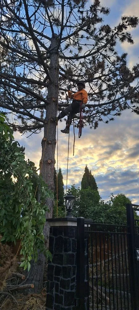 Local lawn care service for homes across Lakewood, WA - Best Northwestern Landscape