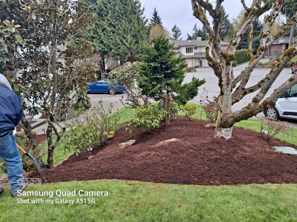 Affordable yard maintenance in Lakewood, WA - Best Northwestern Landscape