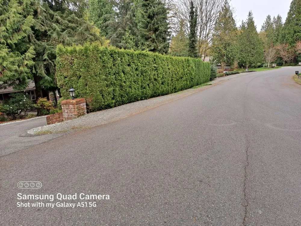 Local landscape design in Lakewood, WA - Best Northwestern Landscape