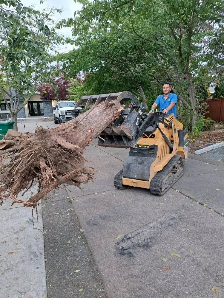 Reliable lawn care service experts serving Lakewood, WA - Best Northwestern Landscape