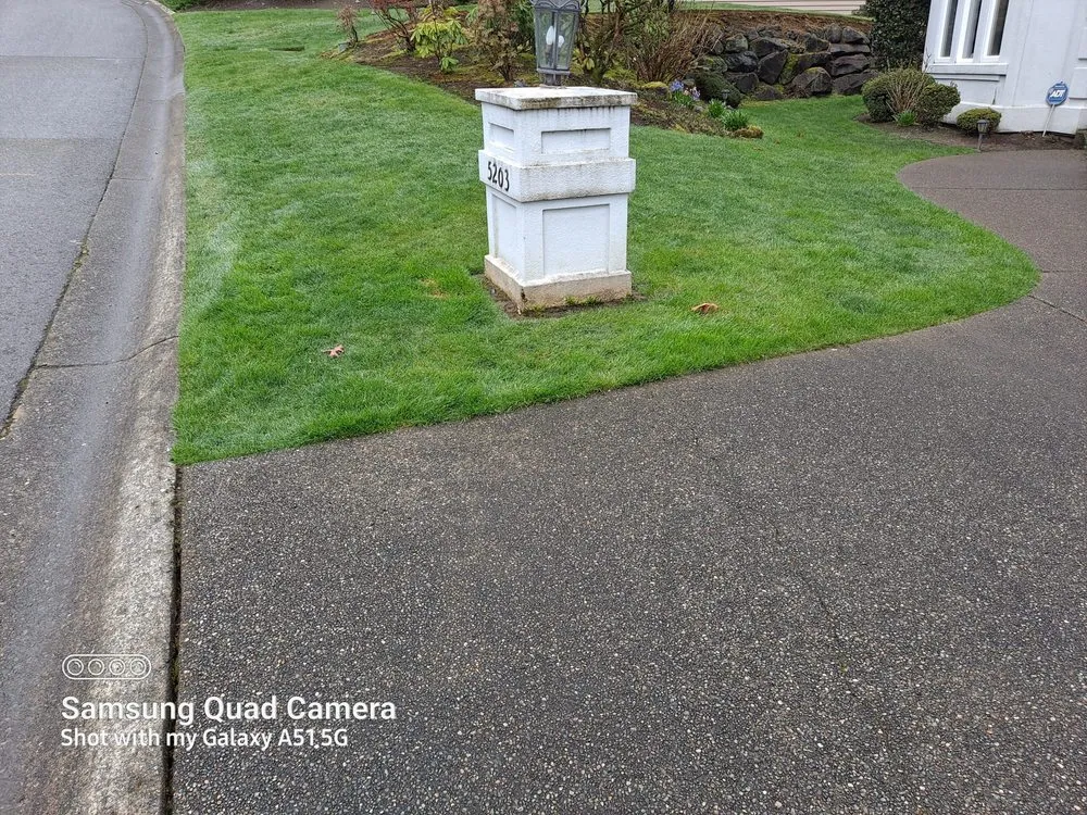 Top-rated lawn care service for year-round maintenance in Lakewood, WA by Best Northwestern Landscape