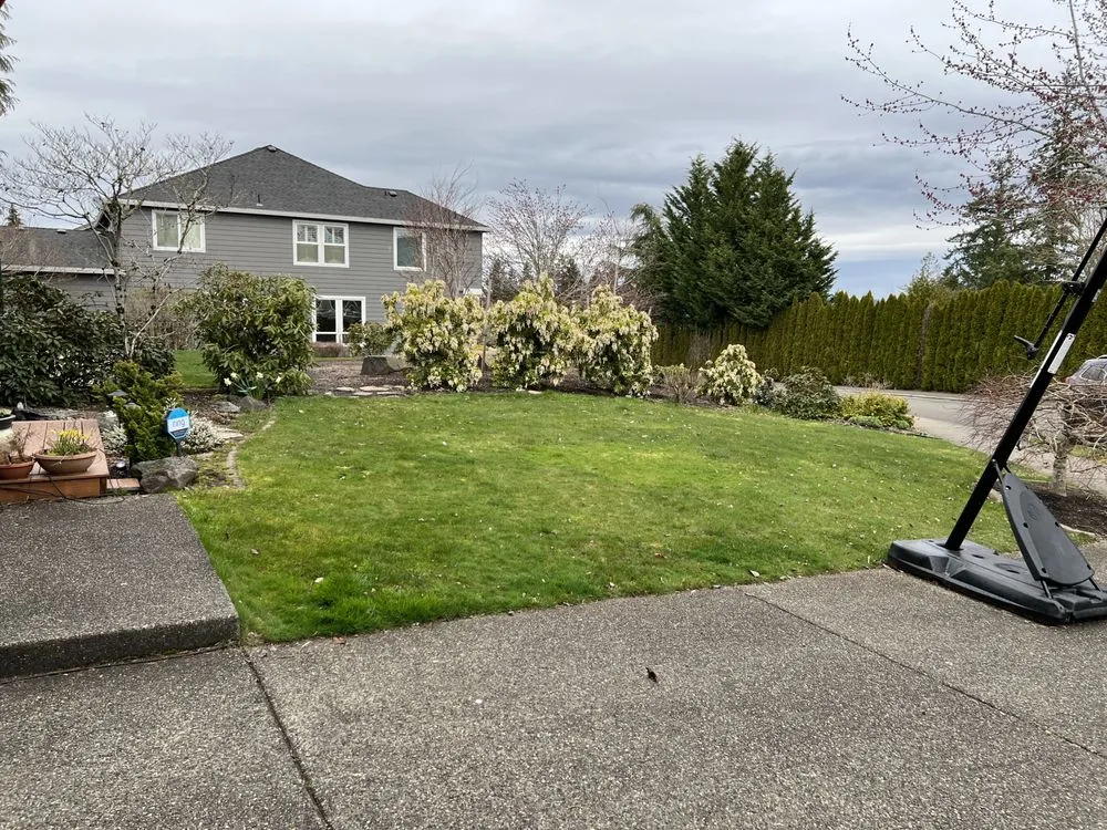 Top-rated lawn care service for residential properties in Forest Grove, OR by Best Of The West Landscape