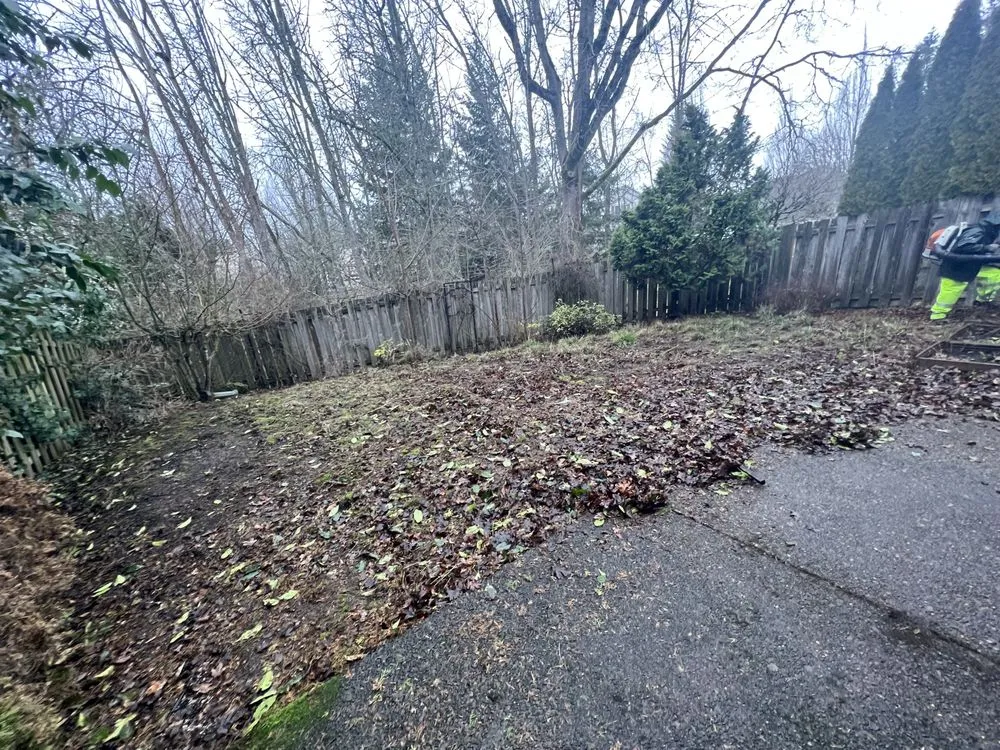 Reliable yard maintenance in Forest Grove, OR - Best Of The West Landscape