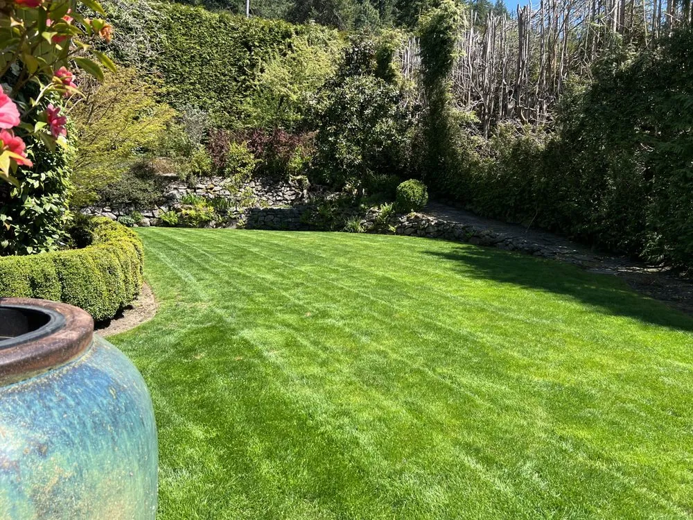 Local lawn care service near you across Forest Grove, OR - Best Of The West Landscape