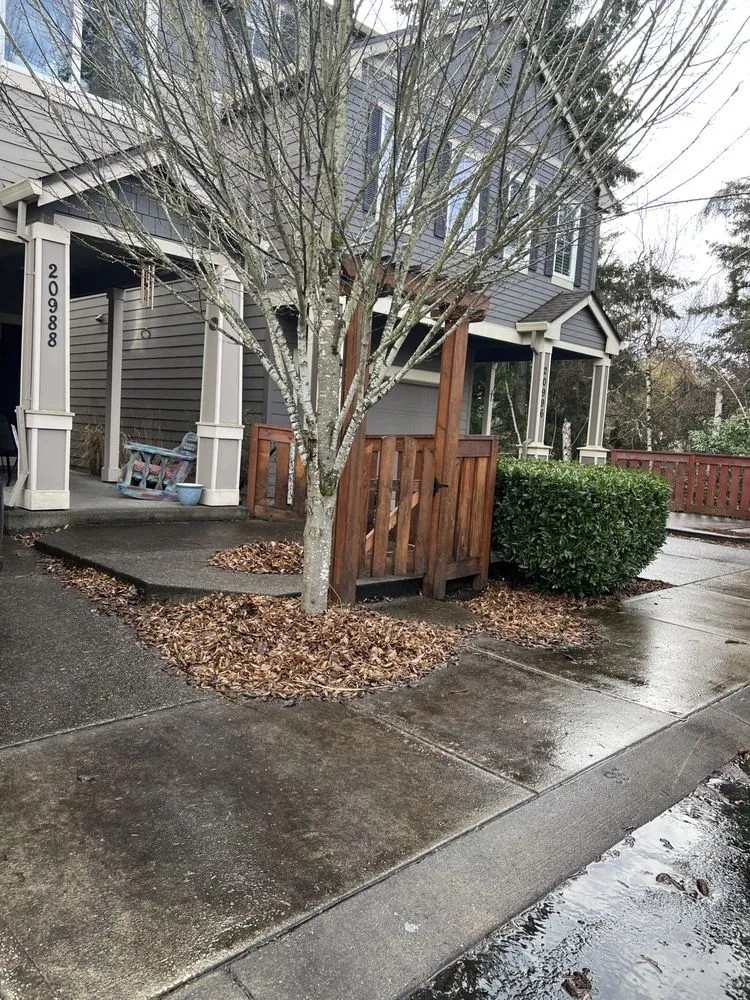 Reliable outdoor landscaping for outdoor upgrades across Forest Grove, OR - Best Of The West Landscape