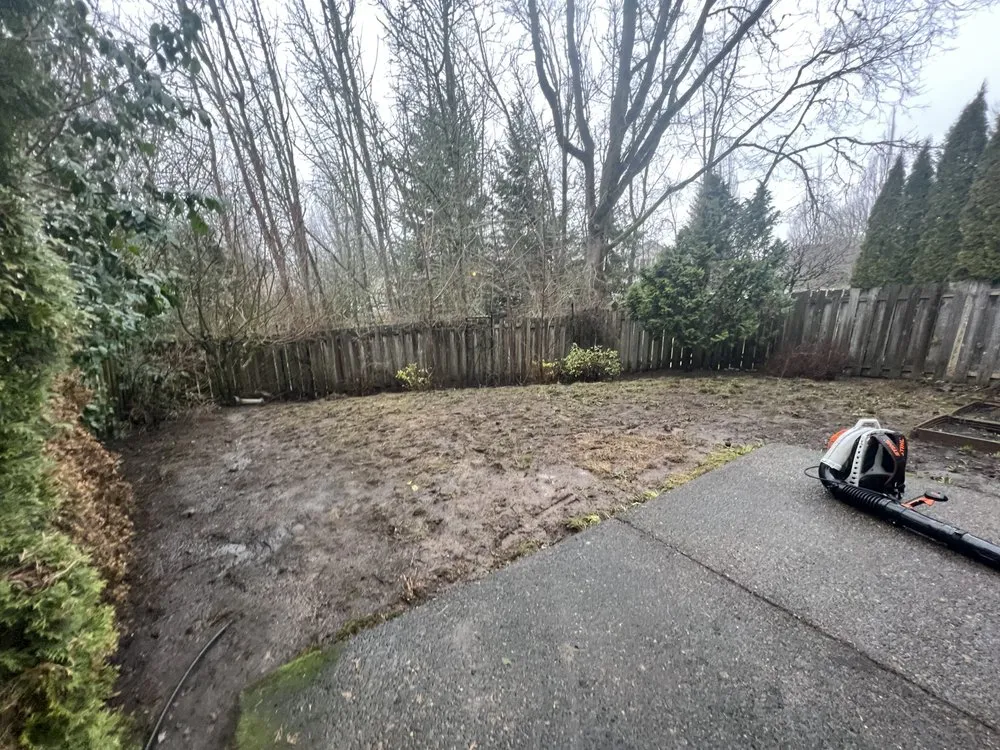 Top-rated residential landscaping for year-round maintenance in Forest Grove, OR by Best Of The West Landscape