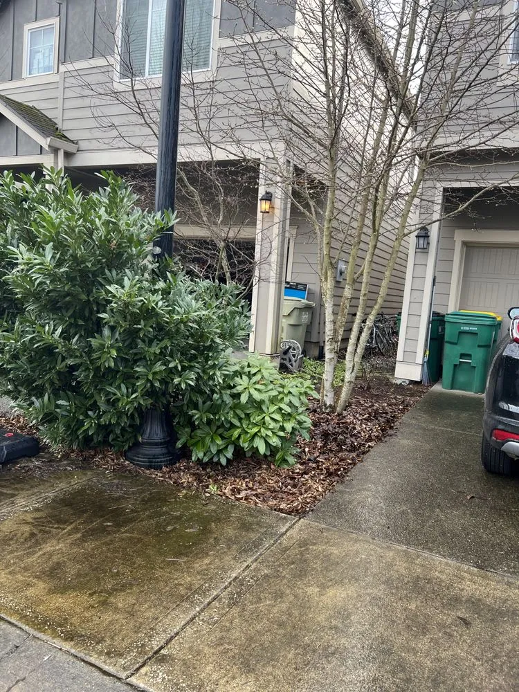 Top-rated lawn mowing service for homes across Forest Grove, OR - Best Of The West Landscape