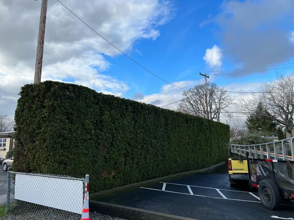 Custom landscaping services for year-round maintenance across Forest Grove, OR - Best Of The West Landscape