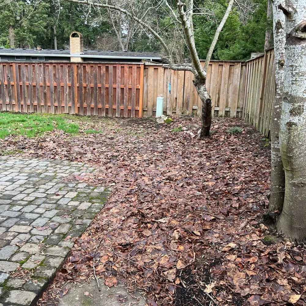 Custom yard cleanup service near you across Forest Grove, OR - Best Of The West Landscape