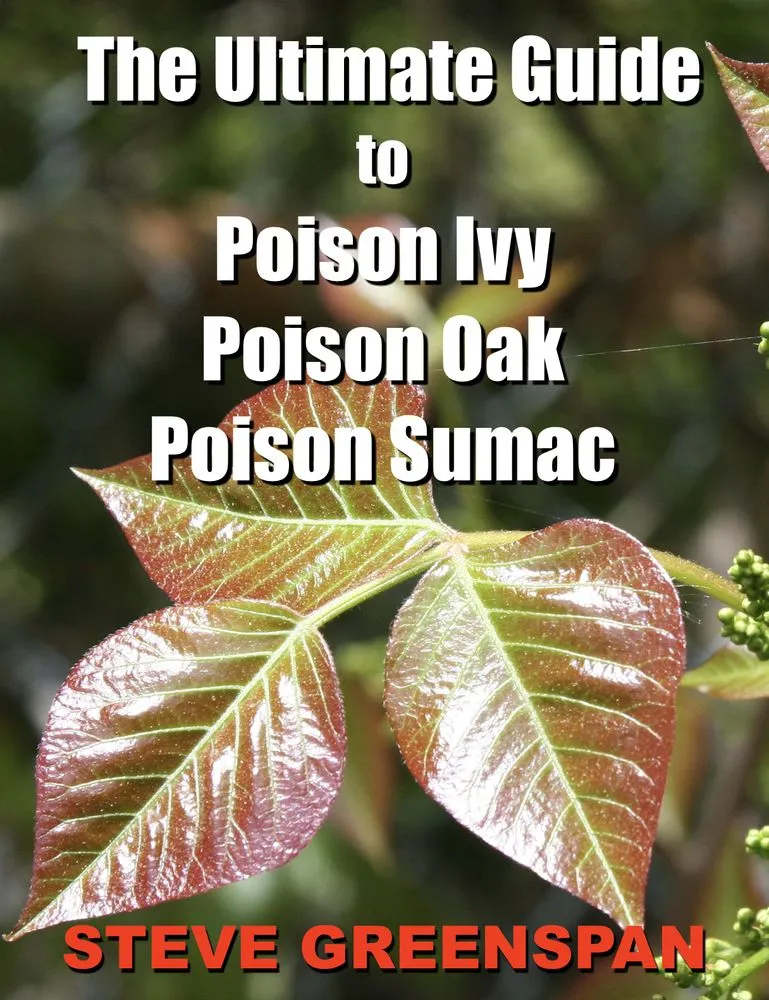 Top-rated yard maintenance in Huntington Station, NY - Best Poison Ivy Bamboo Removal