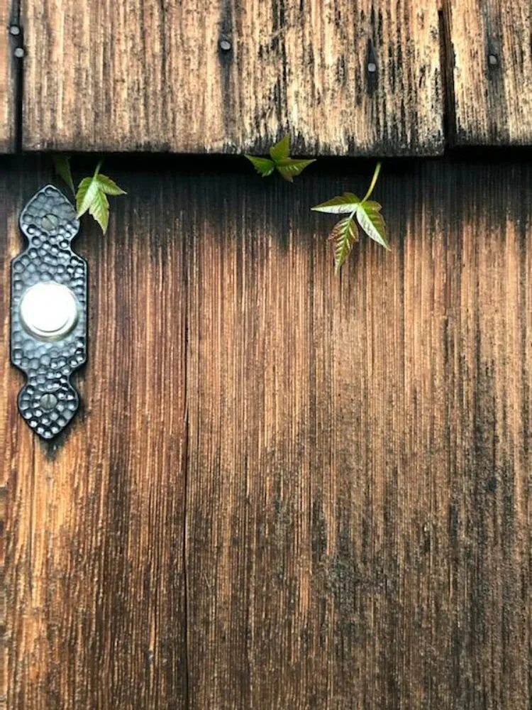 Trusted lawn mowing service in Huntington Station, NY by Best Poison Ivy Bamboo Removal