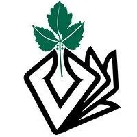 Custom yard cleanup service for homes across Huntington Station, NY - Best Poison Ivy Bamboo Removal