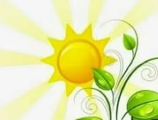 Affordable outdoor landscaping experts serving Anderson, CA - Best Price Landscapes & Hauling