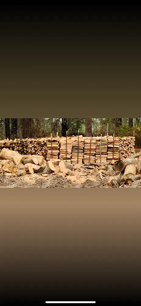 Local lawn care service in Longview, TX by Best Price Tree Service