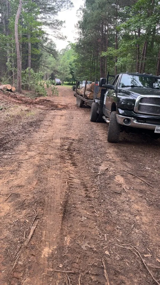 Professional landscaping services for residential properties in Longview, TX by Best Price Tree Service