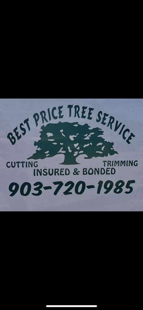 Professional outdoor landscaping in Longview, TX by Best Price Tree Service