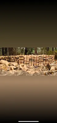 Best Price Tree Service Logo