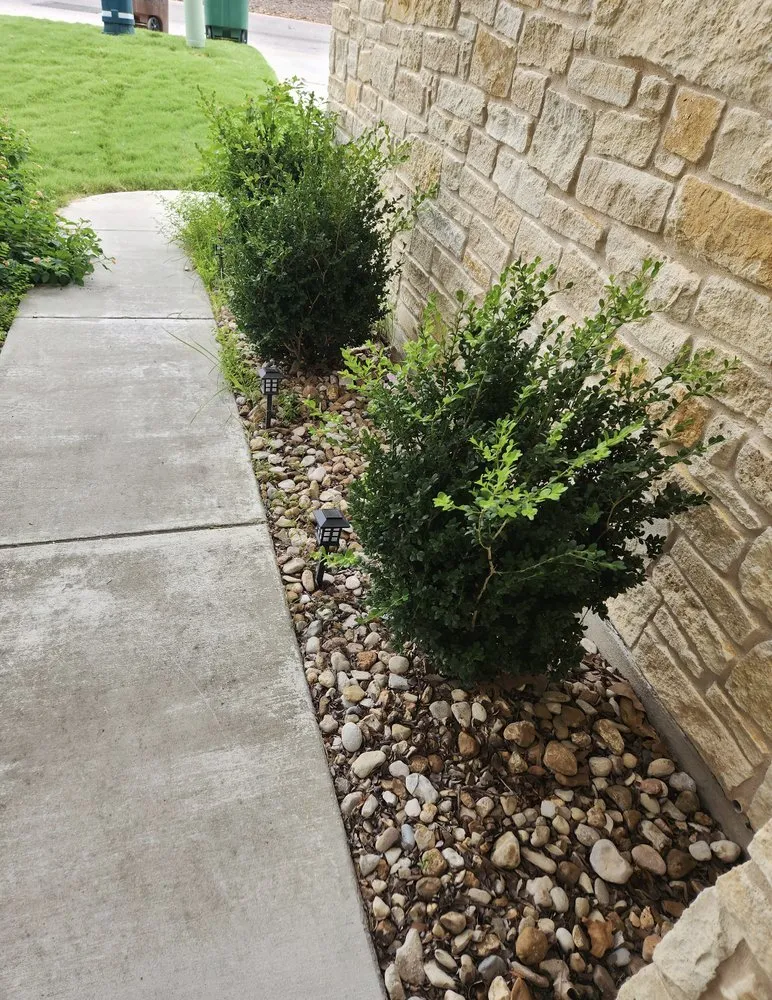 Top-rated yard cleanup service for residential properties in Austin, TX by Best Quality Tree And Lawn Services