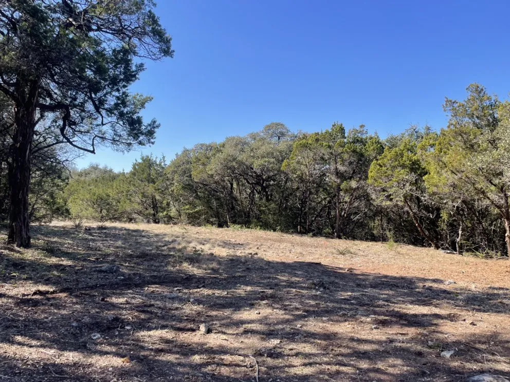 Top-rated lawn care service in Austin, TX by Best Quality Tree And Lawn Services