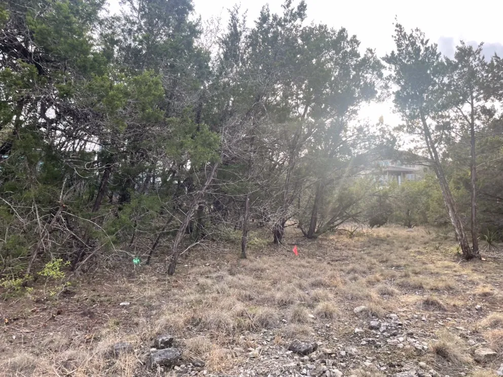 Local lawn mowing service in Austin, TX by Best Quality Tree And Lawn Services