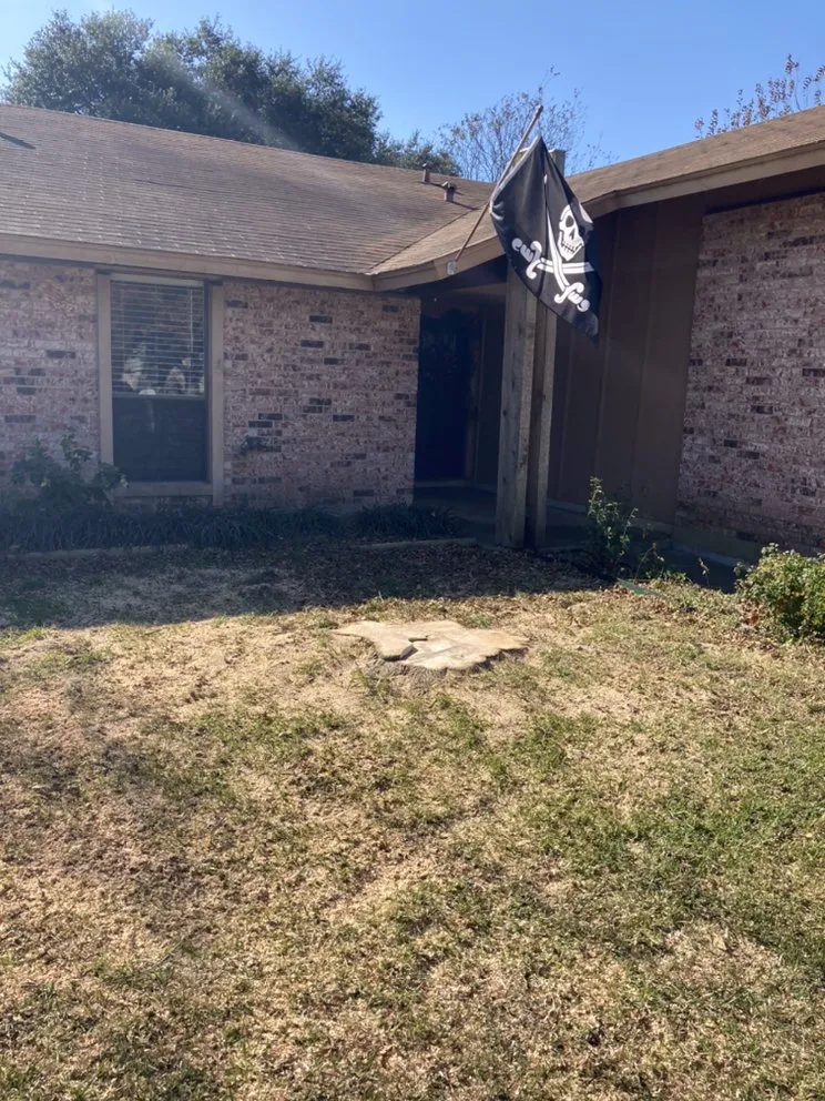 Top-rated landscape installation experts serving Austin, TX - Best Quality Tree And Lawn Services