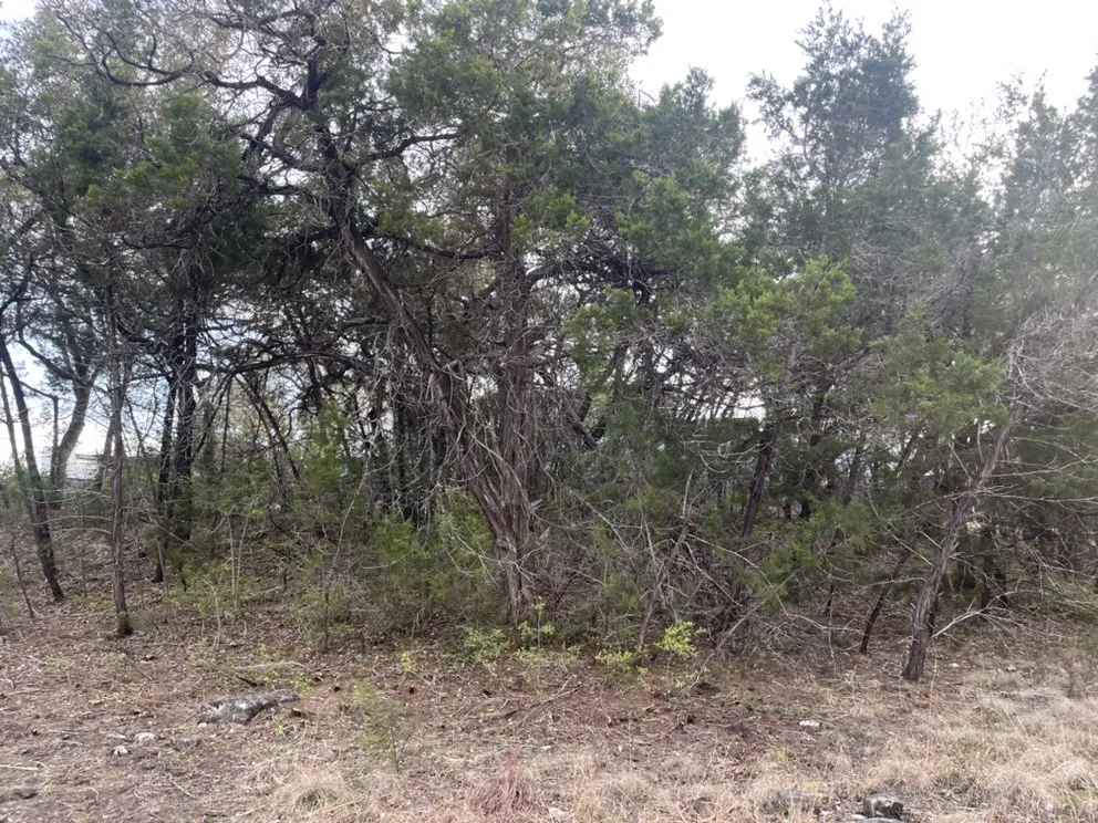 Professional outdoor landscaping in Austin, TX by Best Quality Tree And Lawn Services