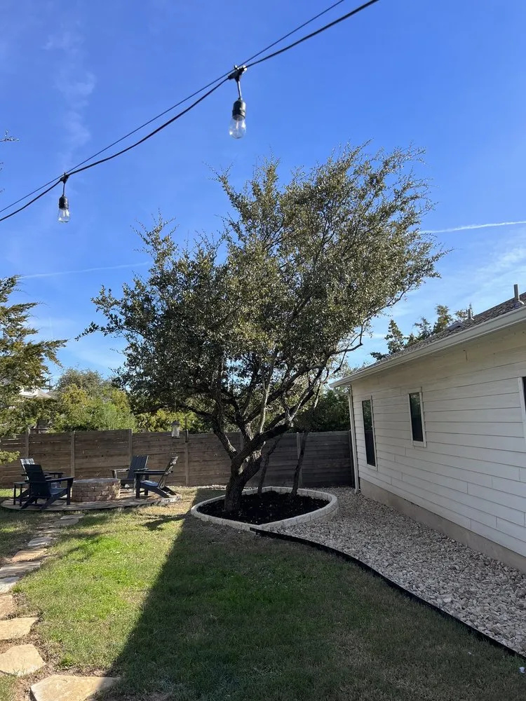 Affordable yard cleanup service for residential properties across Austin, TX - Best Quality Tree And Lawn Services