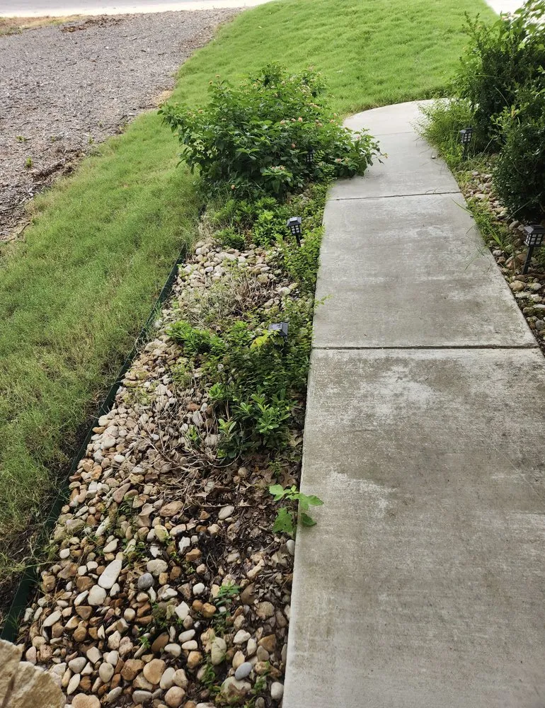 Trusted yard maintenance in Austin, TX by Best Quality Tree And Lawn Services