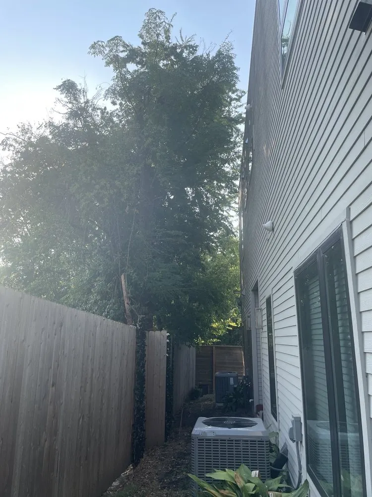 Affordable lawn care service for year-round maintenance across Austin, TX - Best Quality Tree And Lawn Services