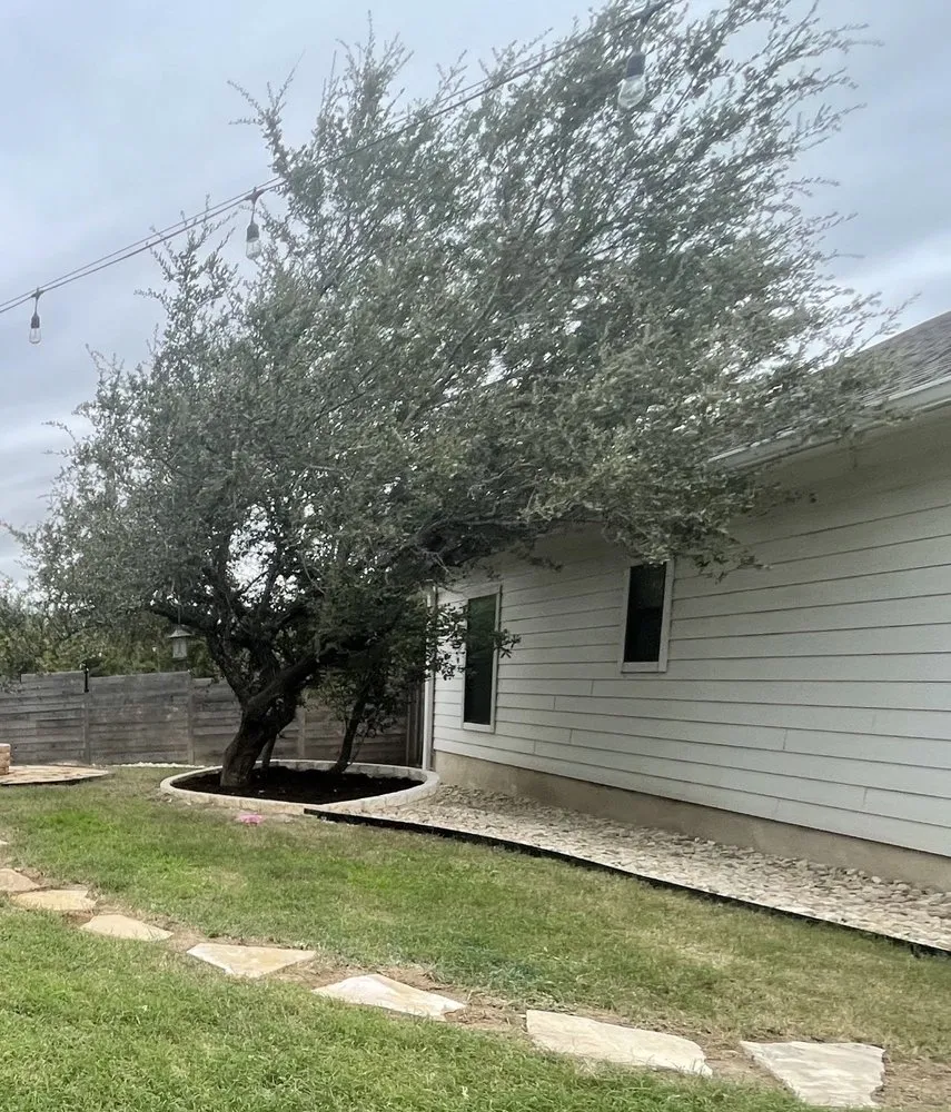 Professional yard cleanup service experts serving Austin, TX - Best Quality Tree And Lawn Services