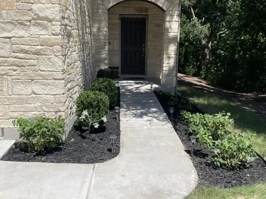 Best Quality Tree And Lawn Services Logo