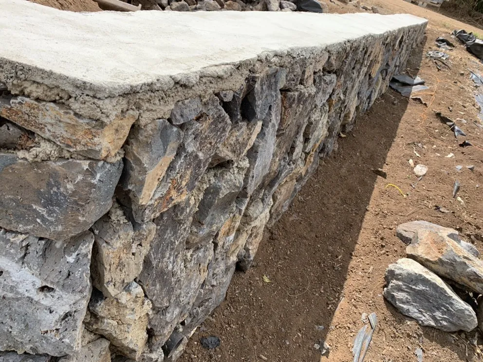 Reliable yard maintenance for residential properties in Waipahu, HI by Best Samaritan