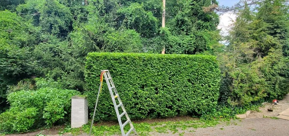 Professional yard maintenance in Painesville, OH by Best Season Landscaping LLC