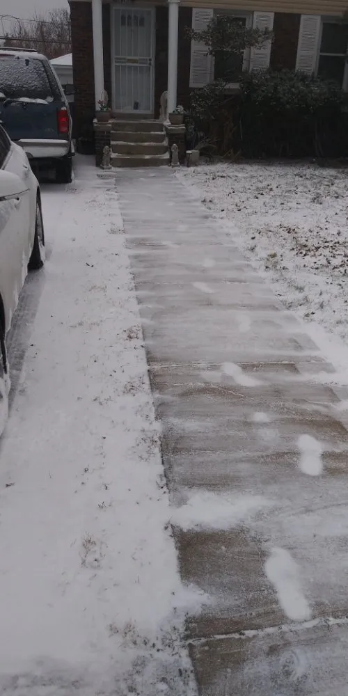 Professional lawn care service in Detroit, MI - Best Season's Snow & Lawn Maintenance