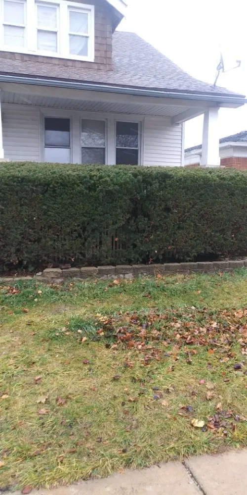 Trusted lawn mowing service in Detroit, MI - Best Season's Snow & Lawn Maintenance