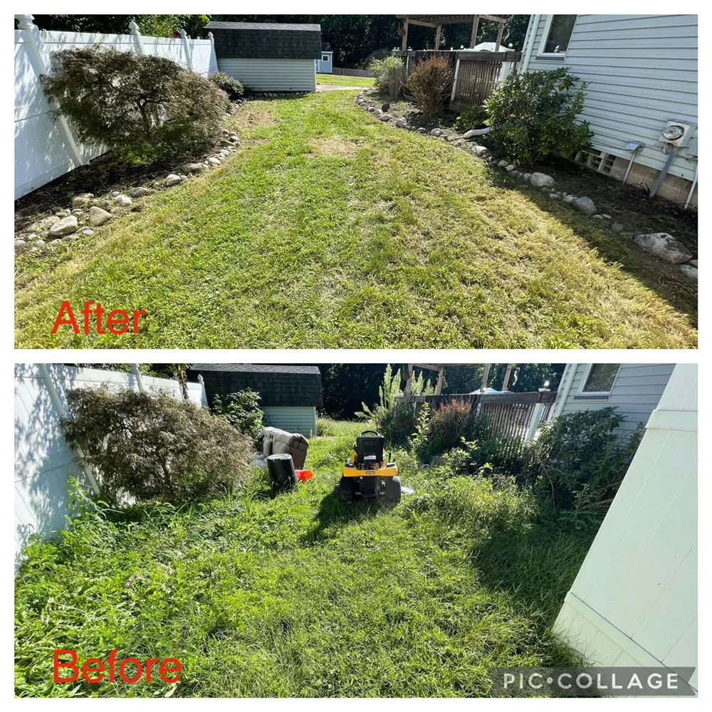 Professional yard cleanup service for homes across Akron, OH - Best Service Lawn Care