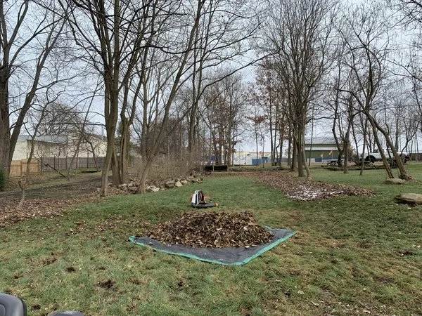 Trusted yard cleanup service in Akron, OH - Best Service Lawn Care