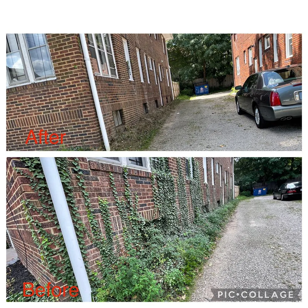 Affordable yard maintenance with custom design in Akron, OH by Best Service Lawn Care