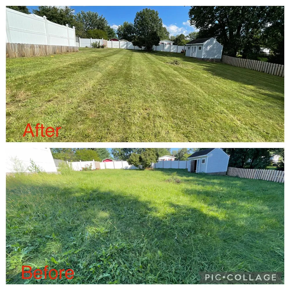 Local lawn care service experts serving Akron, OH - Best Service Lawn Care