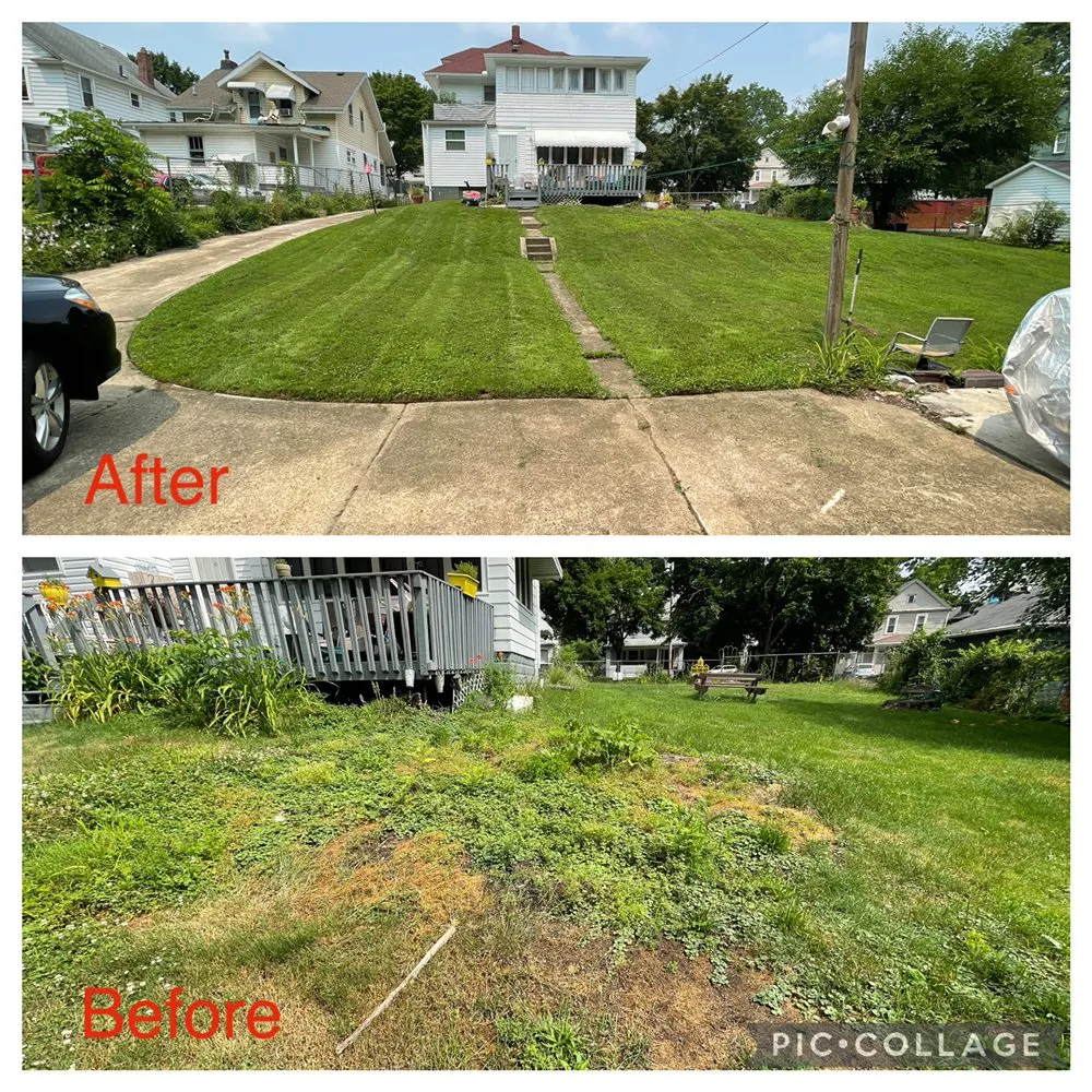 Affordable yard cleanup service in Akron, OH by Best Service Lawn Care