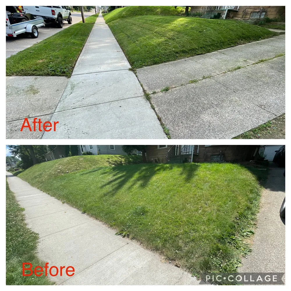 Top-rated yard cleanup service for homes across Akron, OH - Best Service Lawn Care
