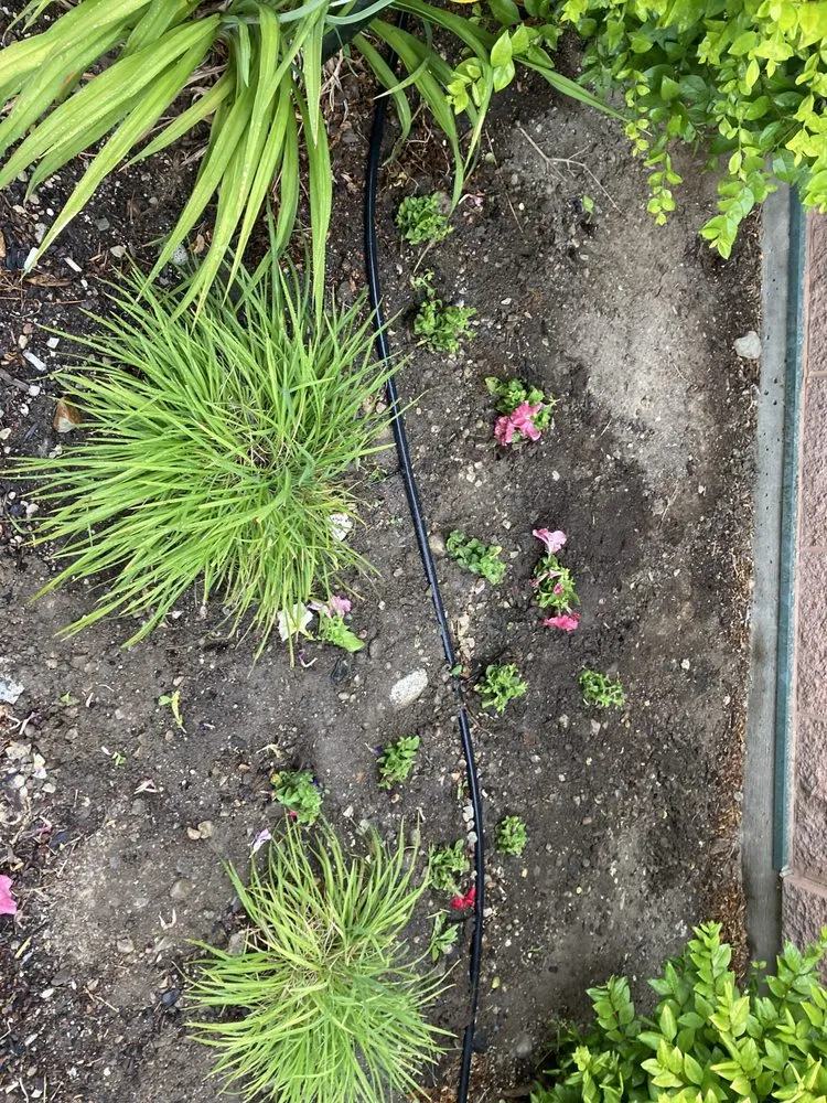 Professional landscape design near you in Draper, UT by BEST Sprinkler