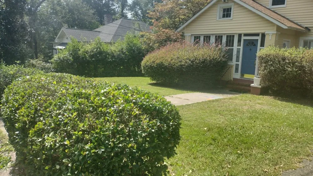 Local residential landscaping in Aiken, SC by Best There Is Landscape