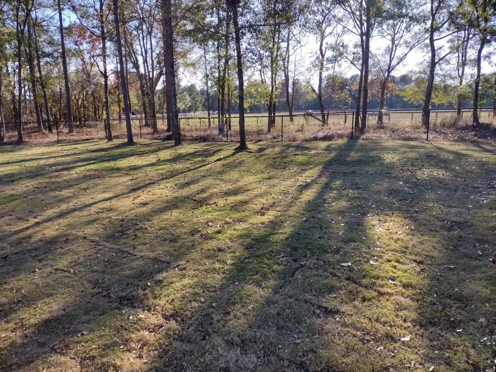 Expert residential landscaping experts serving Aiken, SC - Best There Is Landscape