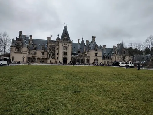 Best There Is Landscape Logo