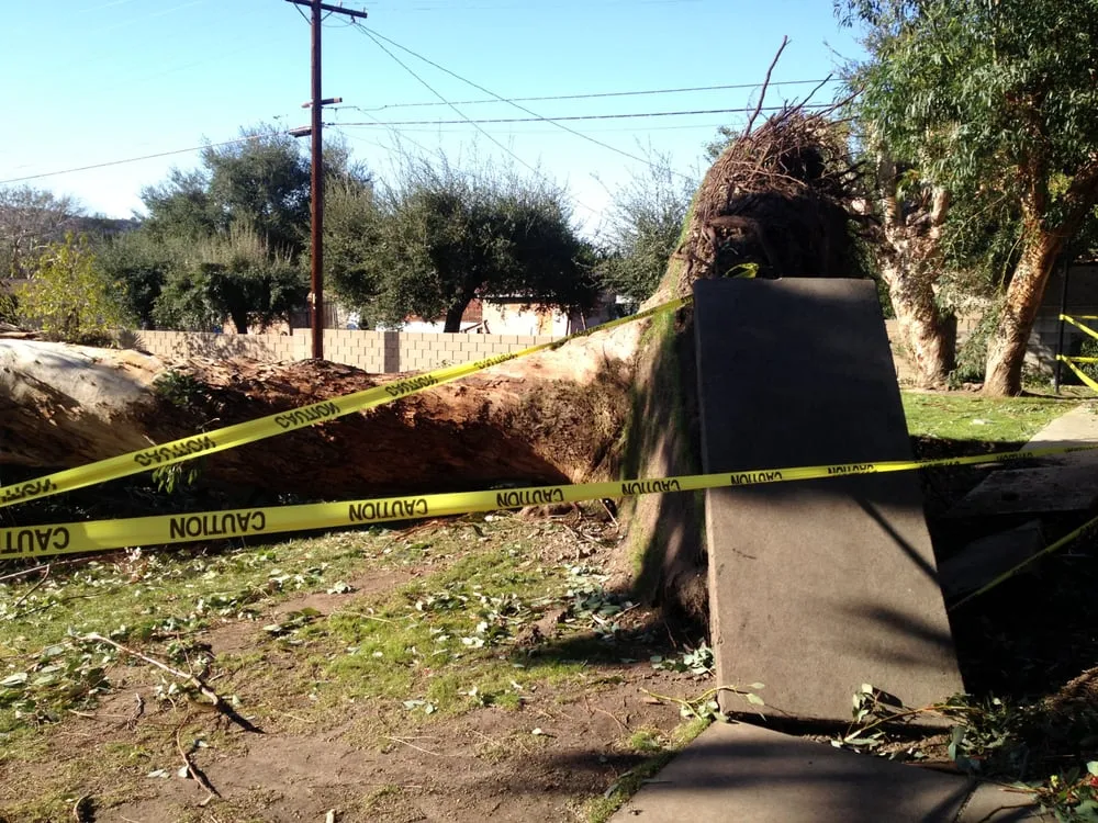 Reliable lawn mowing service in Glendora, CA by Best Tree service