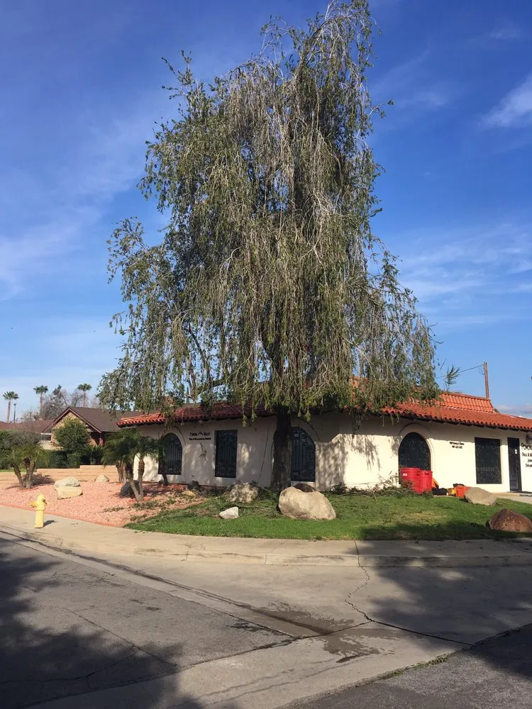 Professional landscape design for homes across Glendora, CA - Best Tree service