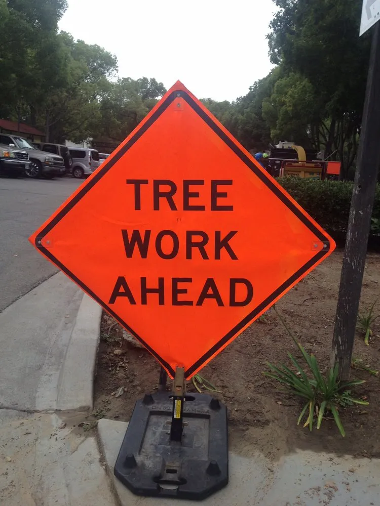 Top-rated yard maintenance in Glendora, CA by Best Tree service