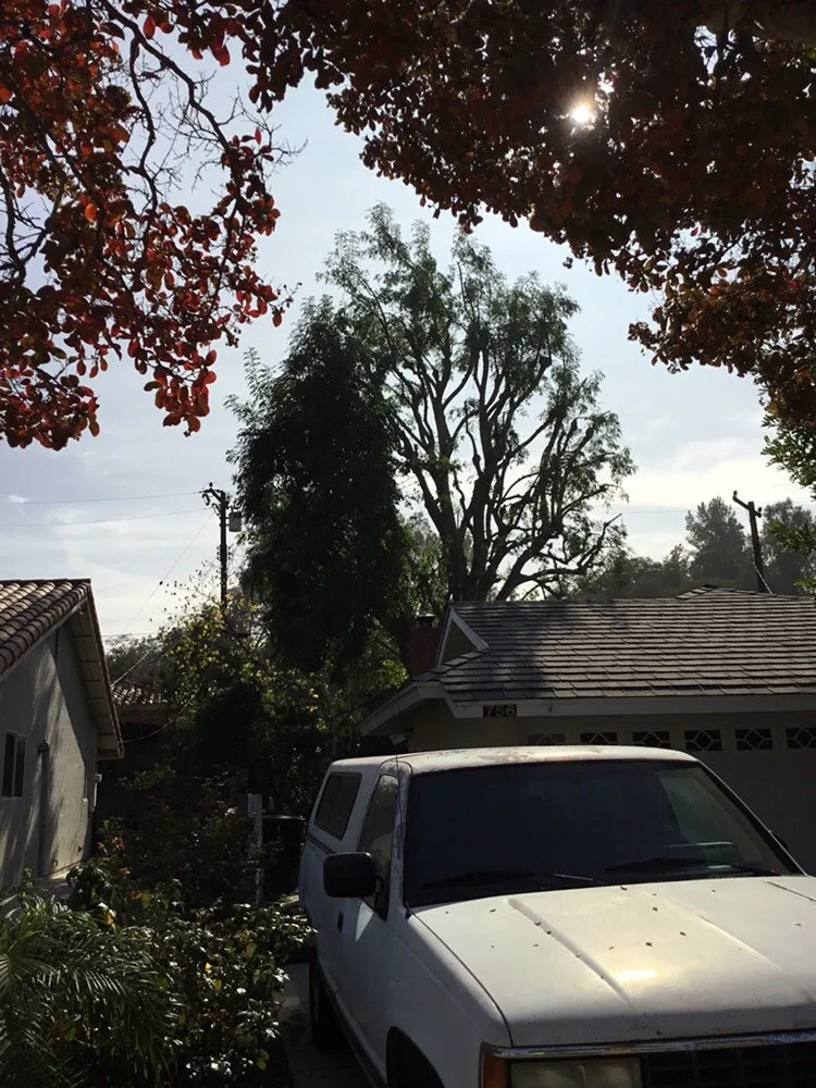 Top-rated lawn care service in Glendora, CA by Best Tree service