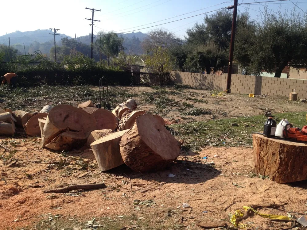 Local garden landscaping in Glendora, CA by Best Tree service